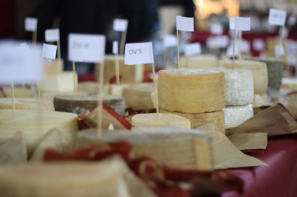 Feria del queso artesanal de Andalucía en Villaluenga del Rosario - Queso Andaluz
