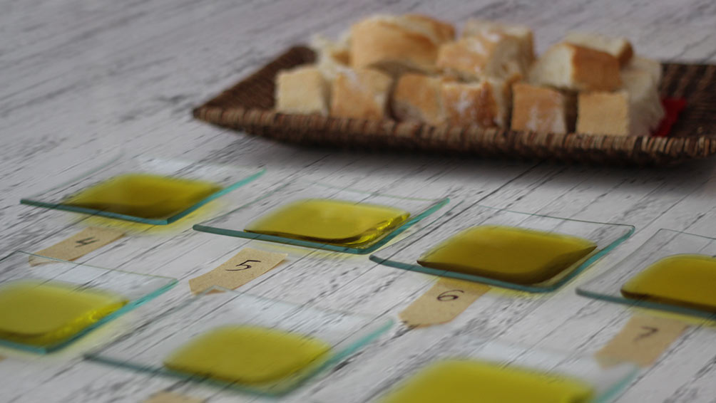 Organizar una cata de aceite de oliva en casa
