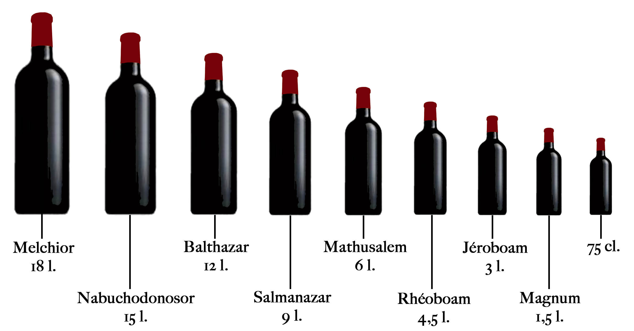 Magnum Size Wine Bottle  Al Sur Wines Experience